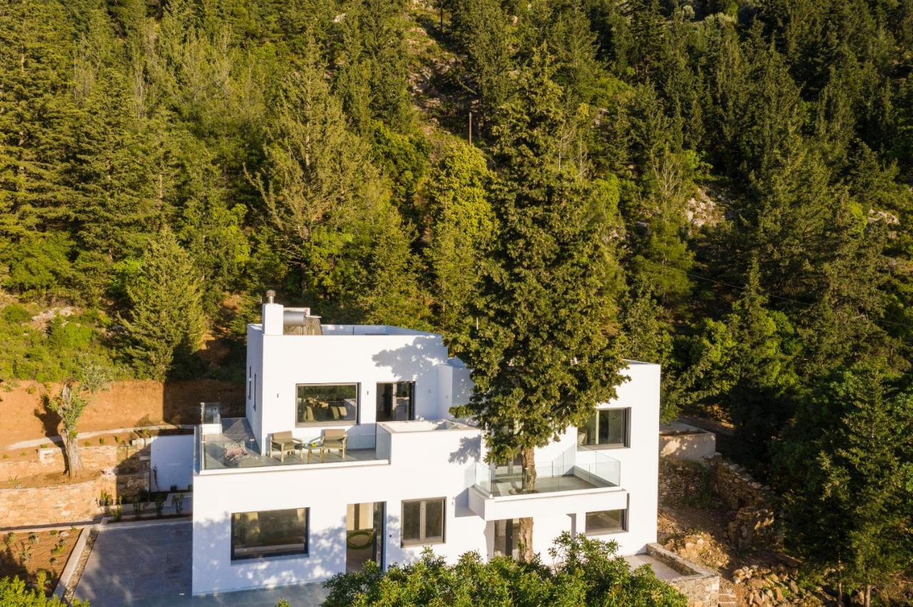 Forest View Villas 1 Lagoudi Zia Exteriér fotografie